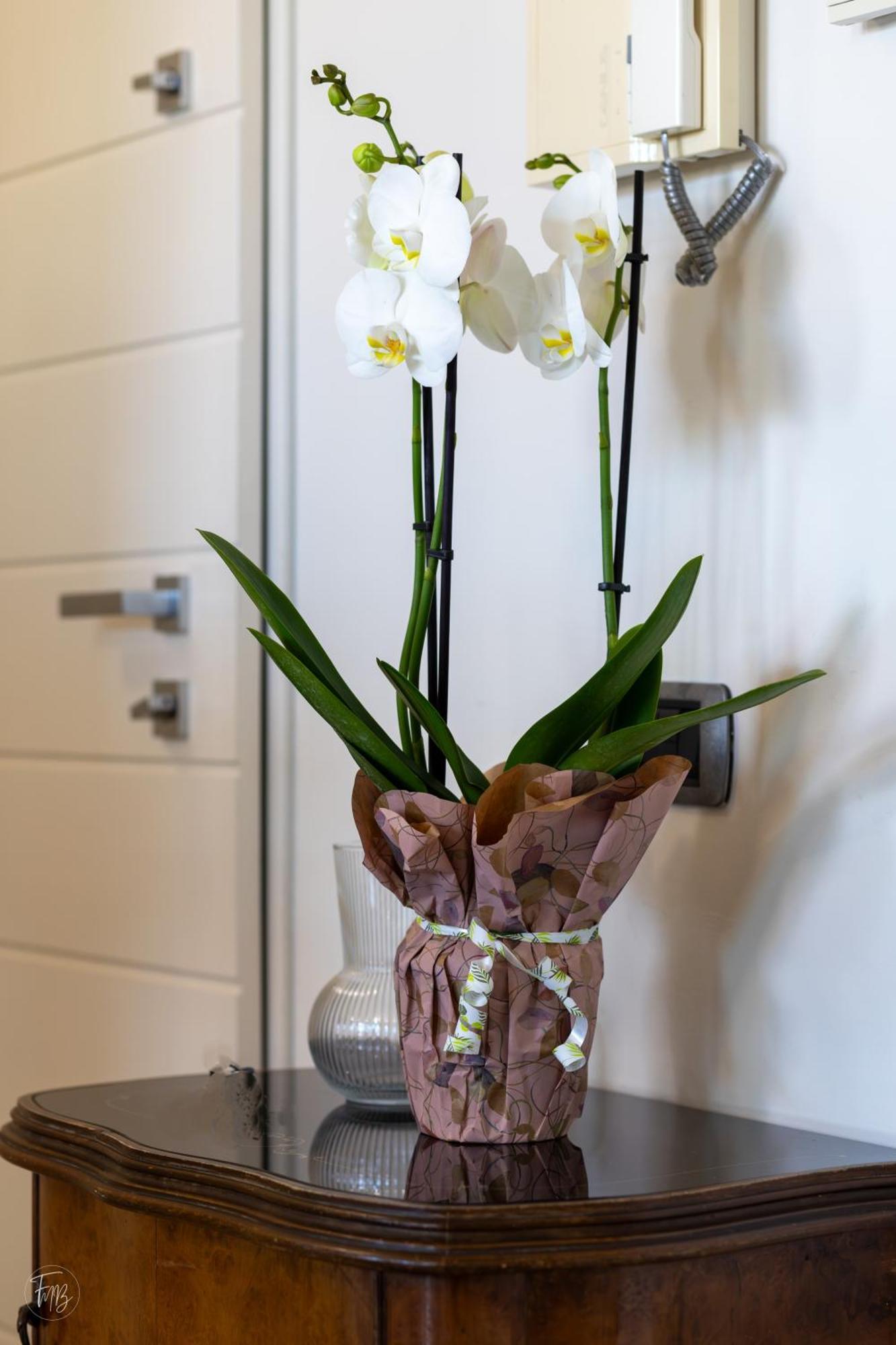Santa Gilla Apartment 칼리아리 외부 사진